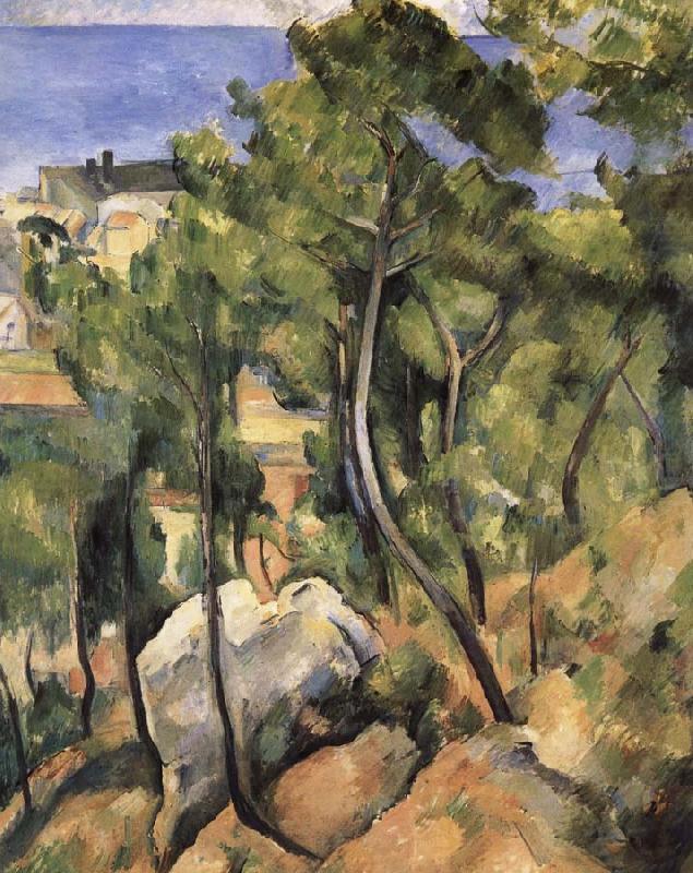 forest, Paul Cezanne